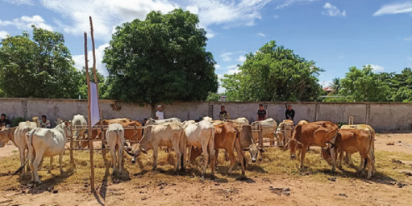 Qurban Project -Eid-al-Adha